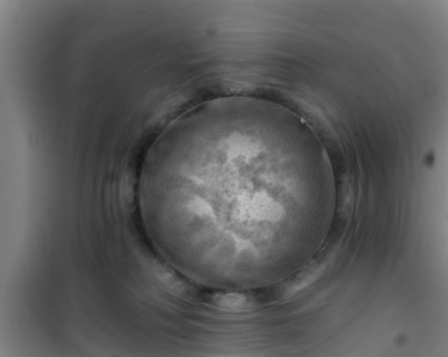 X0000101090230200807031734