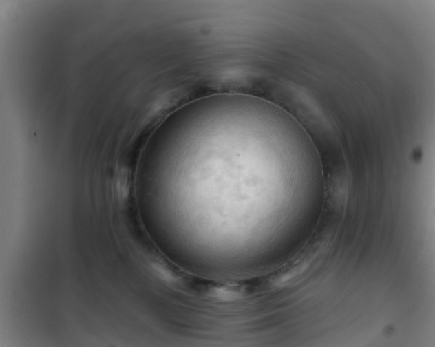 X0000101090232200807031734