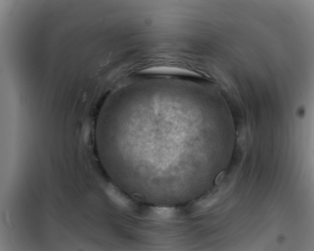 X0000101090233200807031734