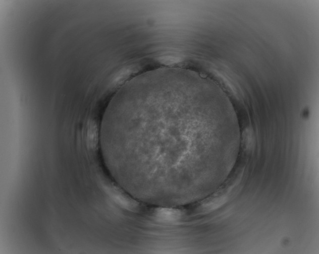 X0000101090234200807031734