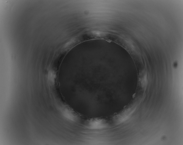 X0000101090235200807031734