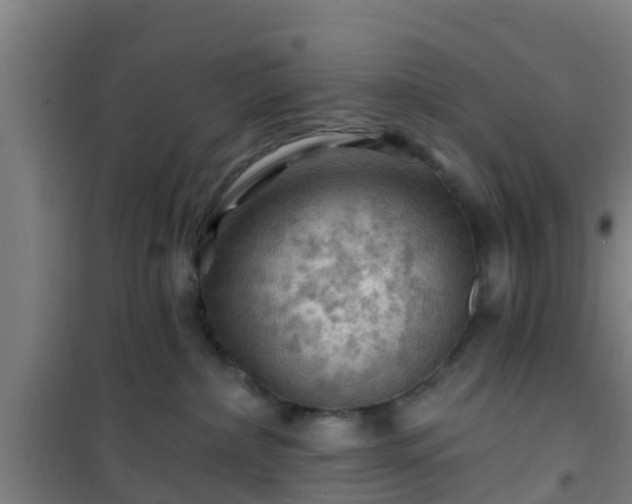 X0000101090236200807031733