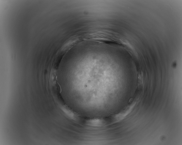 X0000101090237200807031733