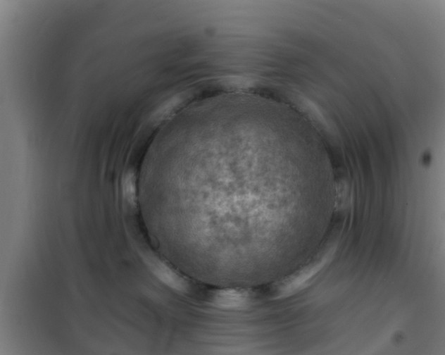 X0000101090238200807031733