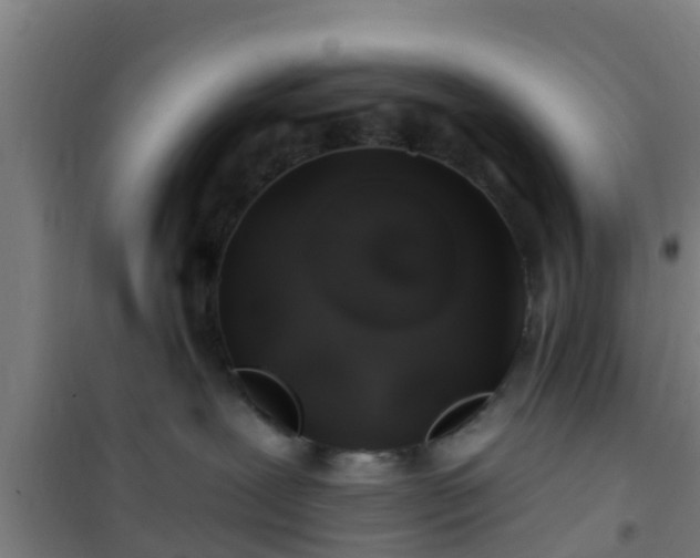 X0000101090239200807031733