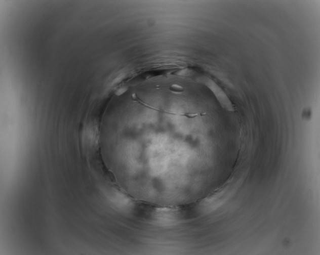 X0000101090240200807031733