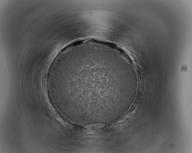 X0000101090241200807031733