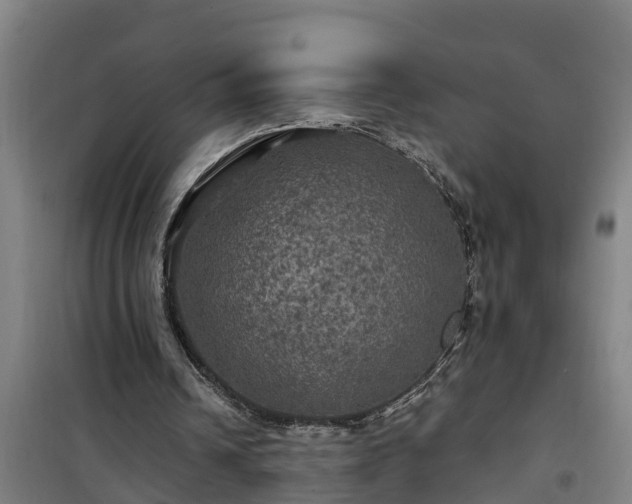 X0000101090242200807031733