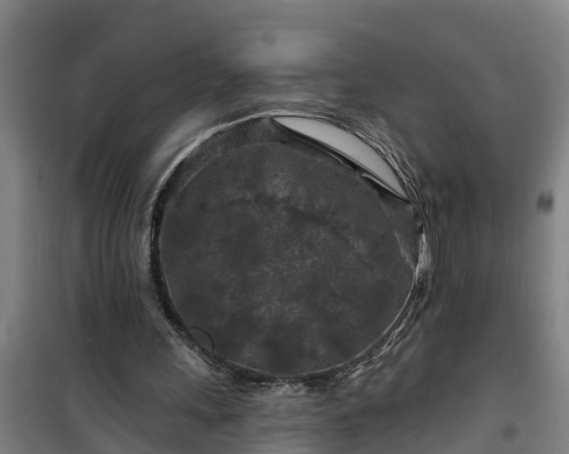 X0000101090243200807031733