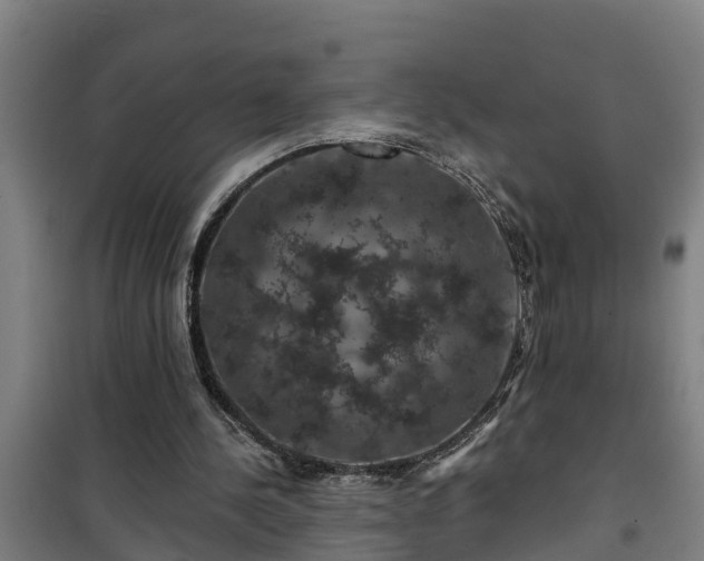 X0000101090244200807031733