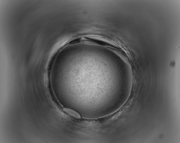 X0000101090245200807031733