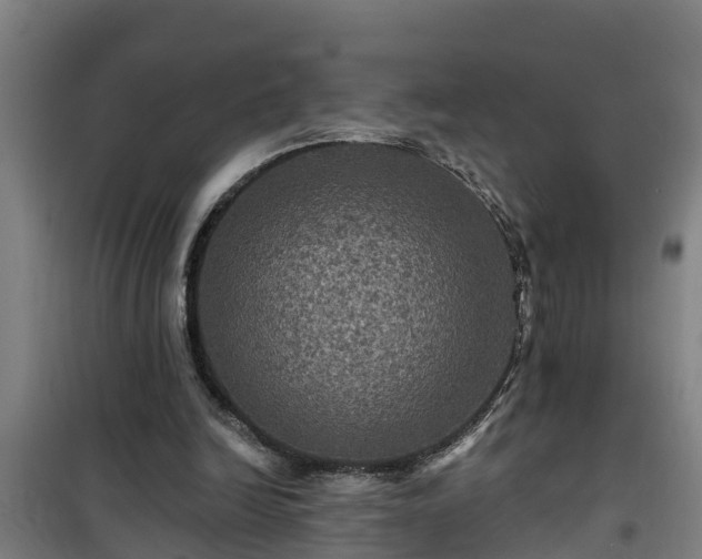 X0000101090246200807031733