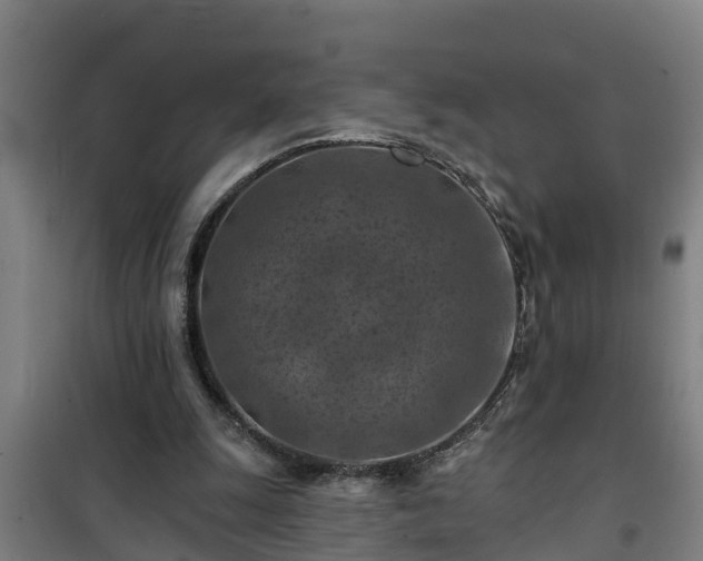 X0000101090247200807031733