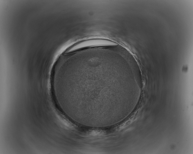 X0000101090248200807031733