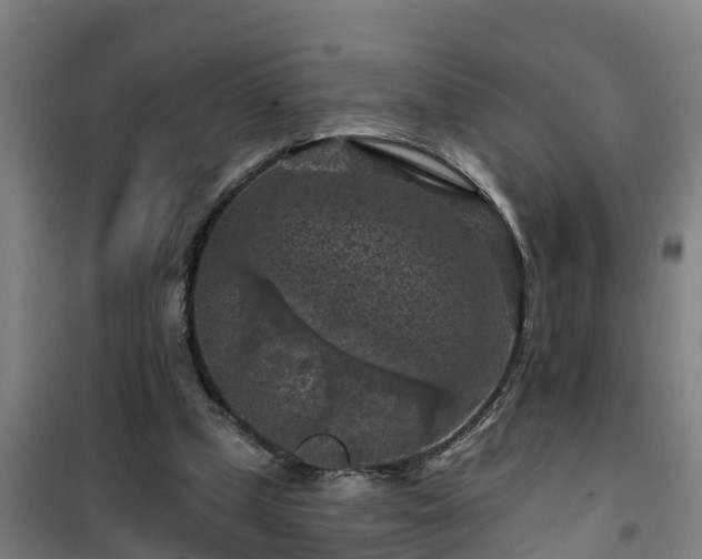 X0000101090249200807031733