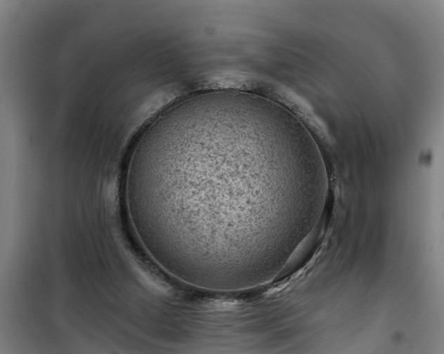 X0000101090250200807031733