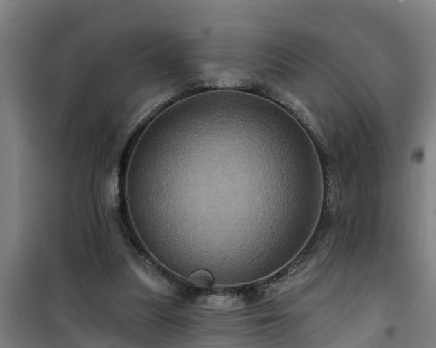 X0000101090251200807031733