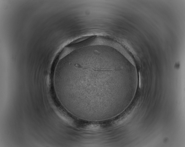 X0000101090252200807031733