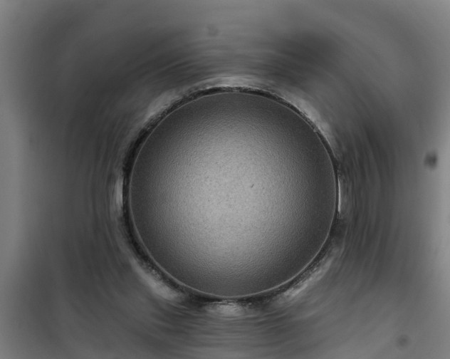 X0000101090253200807031733