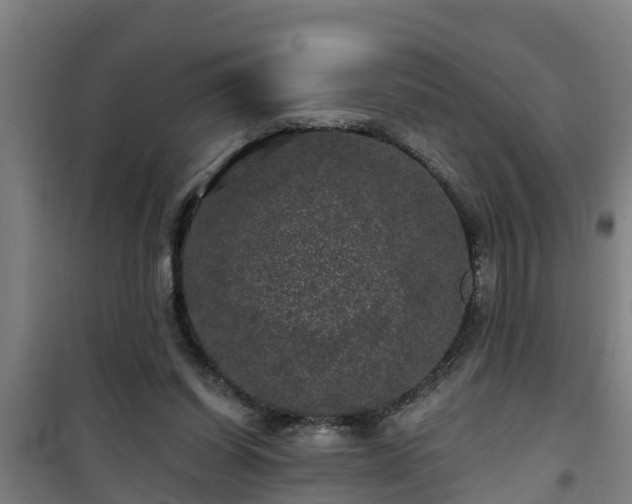 X0000101090254200807031733