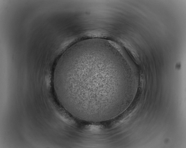 X0000101090255200807031733