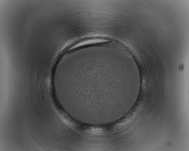 X0000101090256200807031733