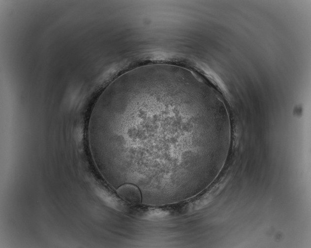 X0000101090257200807031733