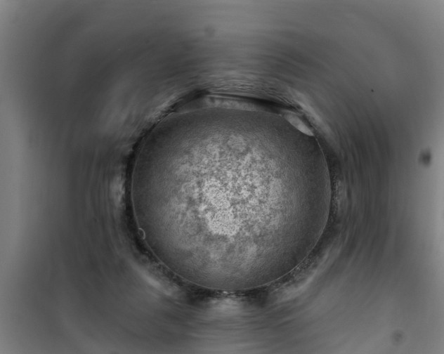 X0000101090259200807031733