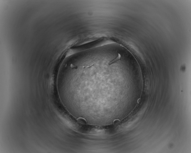 X0000101090260200807031733