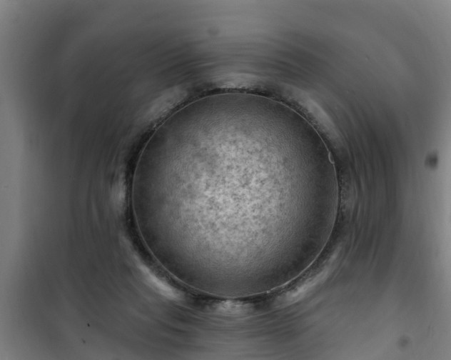 X0000101090261200807031733