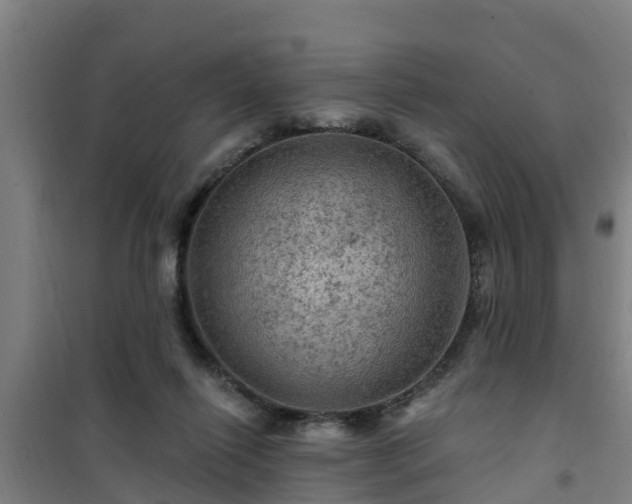 X0000101090262200807031733