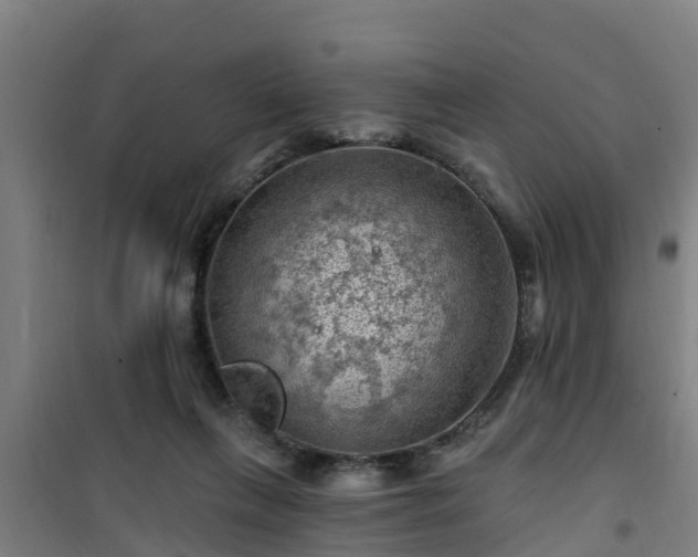 X0000101090263200807031733