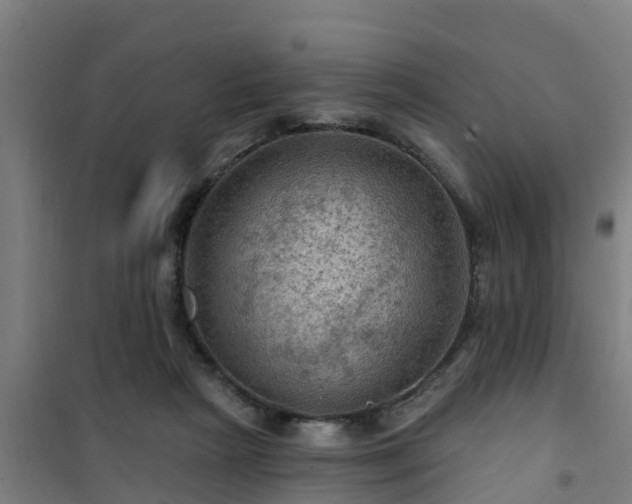 X0000101090265200807031733