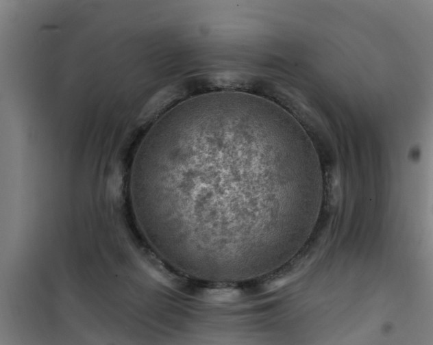 X0000101090266200807031733