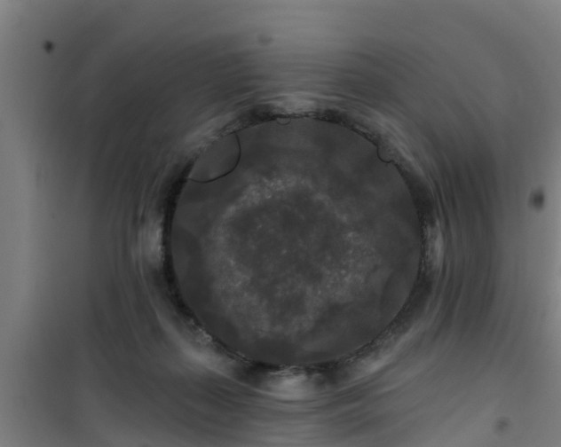 X0000101090267200807031733