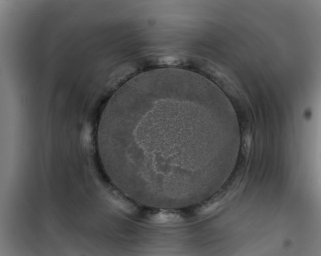 X0000101090270200807031733