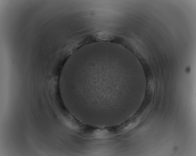 X0000101090271200807031733