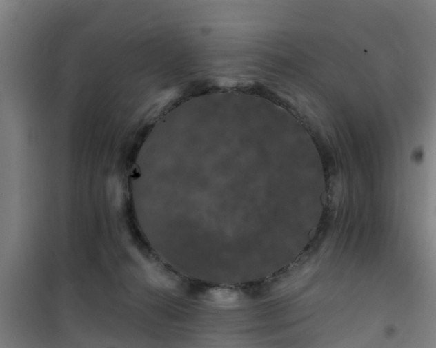 X0000101090272200807031733