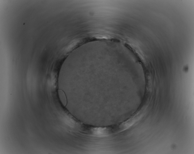 X0000101090273200807031733