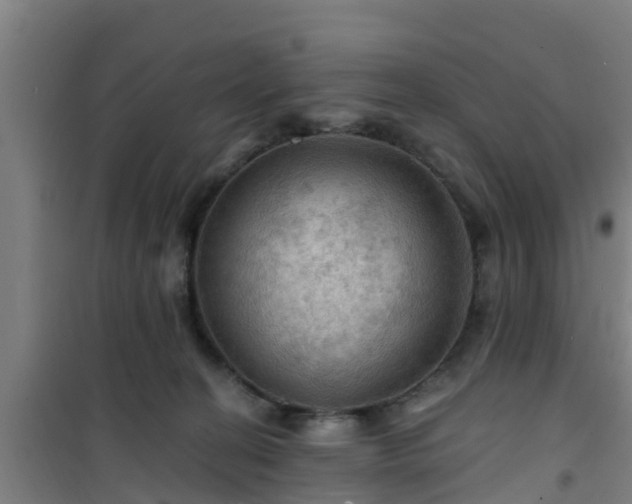 X0000101090274200807031733