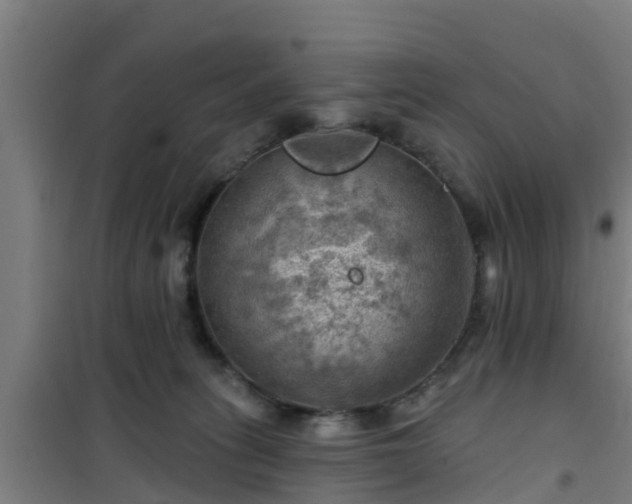 X0000101090275200807031733