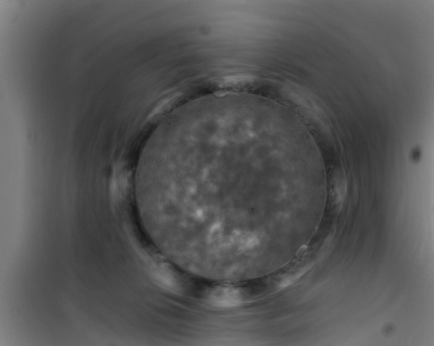 X0000101090276200807031733