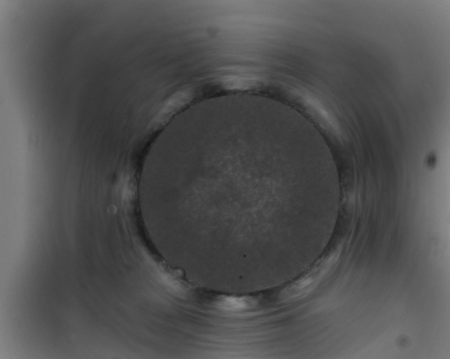 X0000101090277200807031733