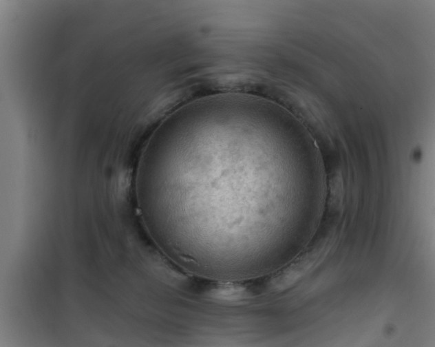 X0000101090278200807031733