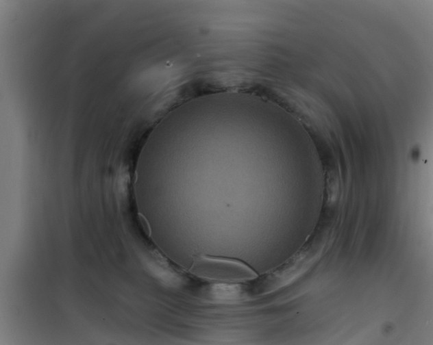 X0000101090279200807031733