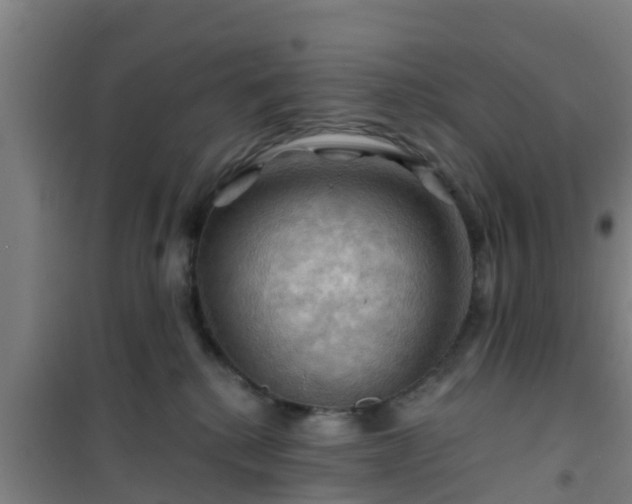 X0000101090280200807031733