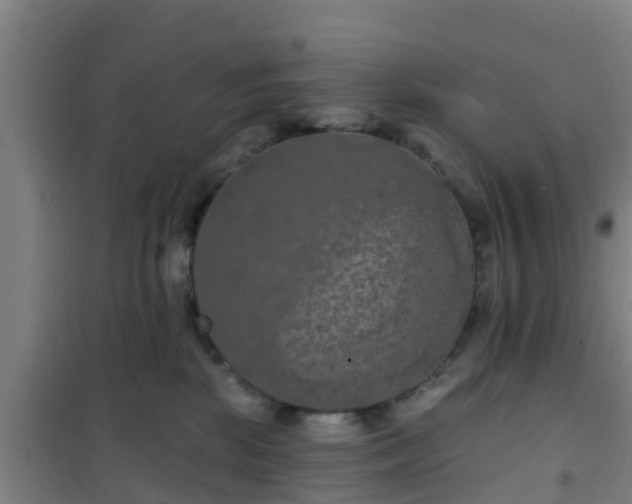 X0000101090281200807031733