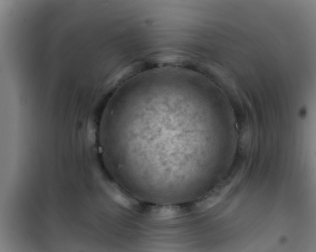 X0000101090282200807031733