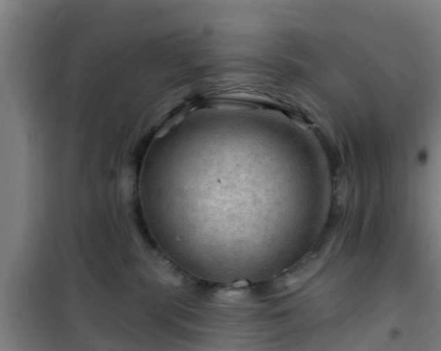 X0000101090283200807031733