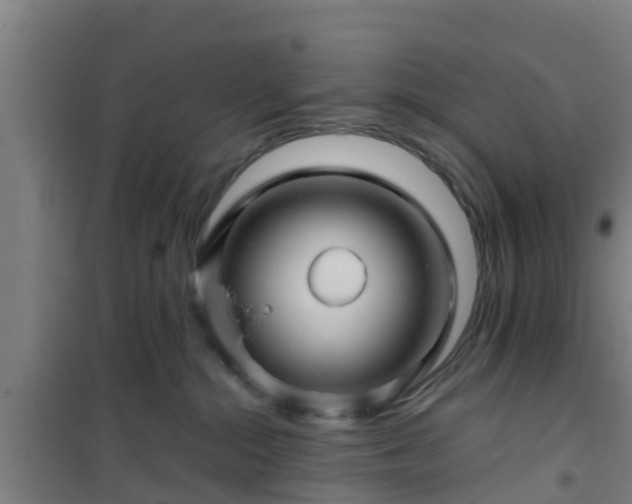 X0000101090284200807031733